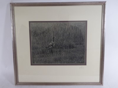 Lot 112 - Eric Hosking OBE Hon. FRPS FBIPP (1909-1991). Set of original photographs, c.1935-55