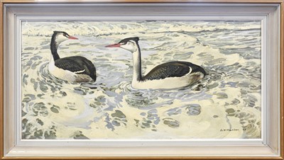 Lot 104 - Keith Hope Shackleton MBE (1923-2015). "Grebes inside the breakers", signed oil