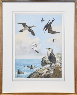 Lot 100 - David Morrison Reid Henry (1919-1977). Brown Booby and other seabirds, signed watercolour