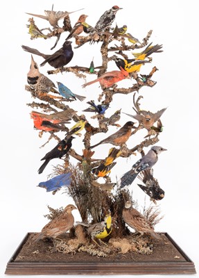 Lot 164 - Taxidermy: A Large Cased Diorama of North,...