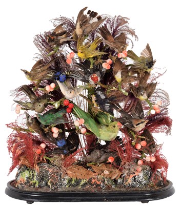 Lot 111 - Taxidermy: A Late Victorian Large Domed...