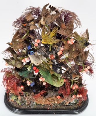 Lot 111 - Taxidermy: A Late Victorian Large Domed...