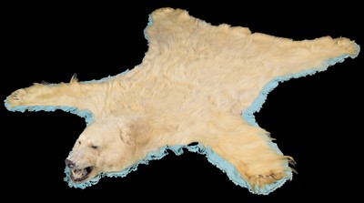 Lot 239 - Taxidermy: Polar Bear Skin (Ursus Maritimus),...