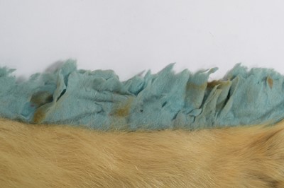 Lot 239 - Taxidermy: Polar Bear Skin (Ursus Maritimus),...