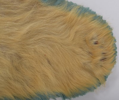 Lot 239 - Taxidermy: Polar Bear Skin (Ursus Maritimus),...