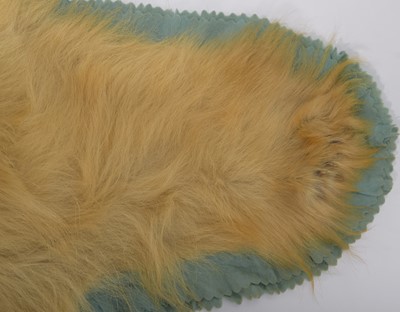 Lot 239 - Taxidermy: Polar Bear Skin (Ursus Maritimus),...