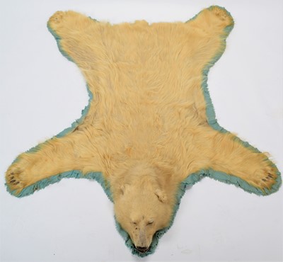 Lot 239 - Taxidermy: Polar Bear Skin (Ursus Maritimus),...