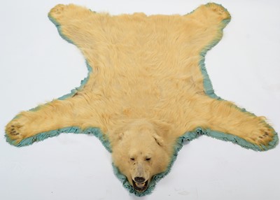 Lot 239 - Taxidermy: Polar Bear Skin (Ursus Maritimus),...