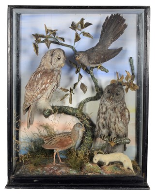 Lot 55 - Taxidermy: A Late Victorian Cased Diorama of...