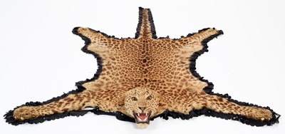 Lot 156 - Taxidermy: Indian Leopard Skin Rug (Panthera...