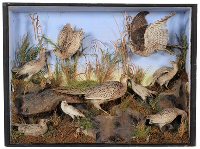 Lot 37 - Taxidermy: A late Victorian Diorama of...