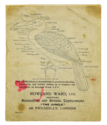 Lot 222 - Ephemera: A Rare and Interesting Rowland Ward...
