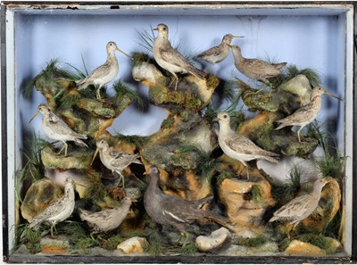 Lot 5 - Taxidermy: A Late Victorian Cased Diorama of...
