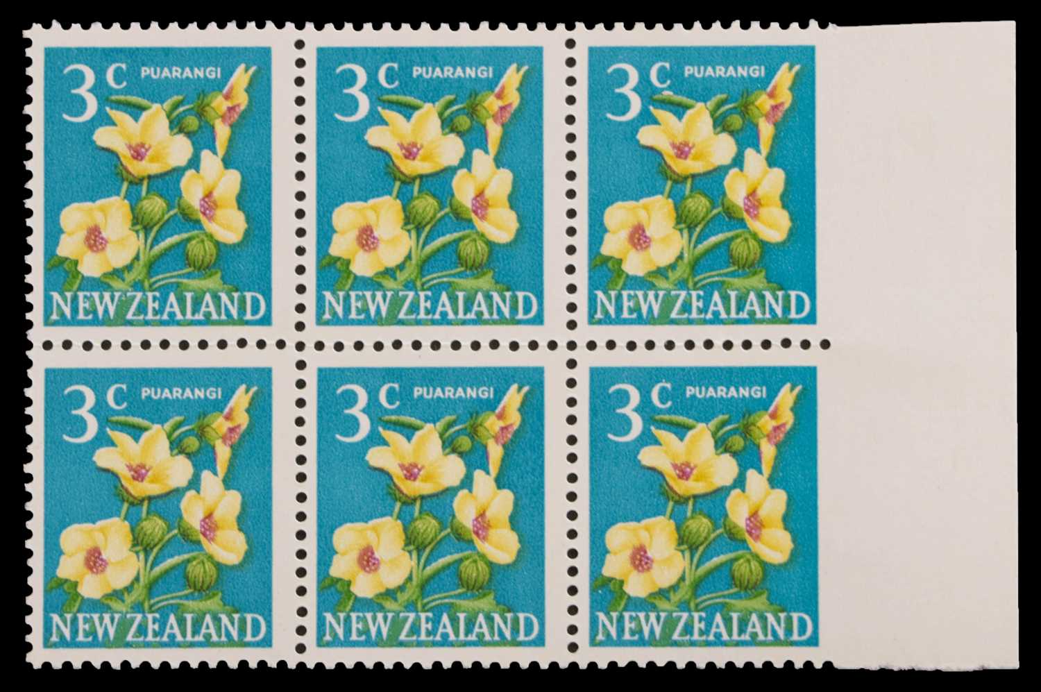 Lot 172 - New Zealand