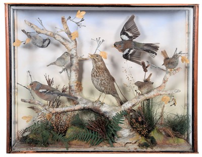 Lot 111 - Taxidermy: A Late Victorian Cased Diorama of...