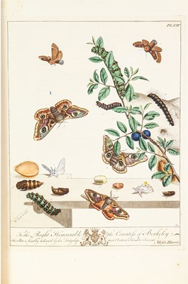 Lot 36 - Harris (Moses). [The Aurelian: Or, Natural History of English Insects], 1794
