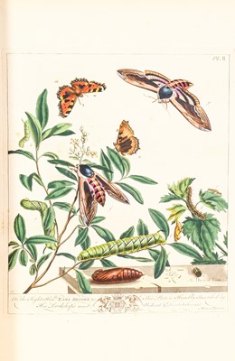 Lot 36 - Harris (Moses). [The Aurelian: Or, Natural History of English Insects], 1794