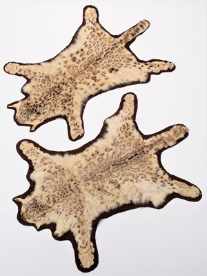 Lot 193 - Taxidermy: A Pair of Snow Leopard Rugs...