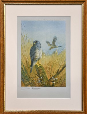 Lot 410 - After Archibald Thorburn FZS (1860-1935),...