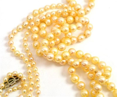 Lot 342 - A cultured pearl necklace, a graduated cultured pearl necklace and loose cultured pearls