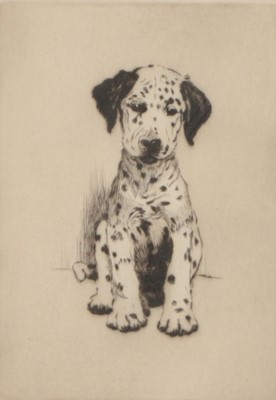 Lot 1004 - Cecil Aldin RBA (1870-1935) "A Dalmatian Puppy"...