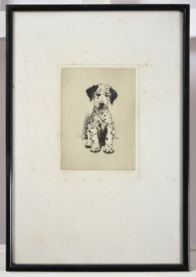 Lot 1004 - Cecil Aldin RBA (1870-1935) "A Dalmatian Puppy"...