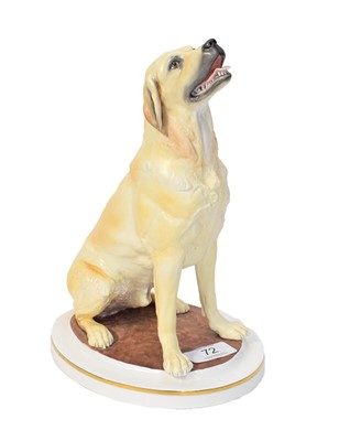 Lot 72 - Royal Worcester model of a Yellow Labrador, by...