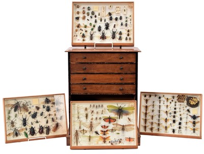Lot 208 - Entomology: A Collection of Carabids, Insects,...