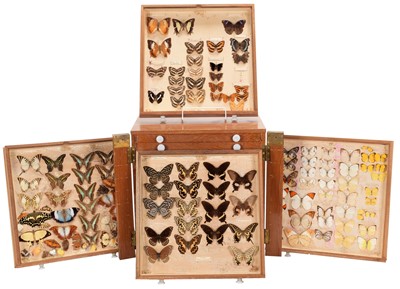 Lot 308 - Entomology: A Collection of World Butterflies...