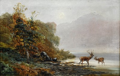 Lot 514 - Clarence Henry Roe (1850-1909) Stag and doe...