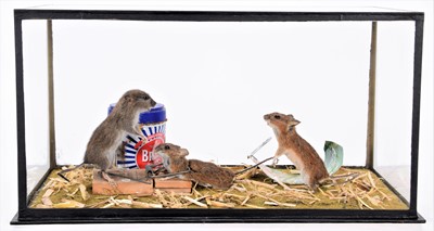 Lot 132 - Taxidermy: Anthropomorphic Trapped Mouse...