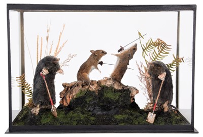 Lot 100 - Taxidermy: Anthropomorphic Duelling Mice and...