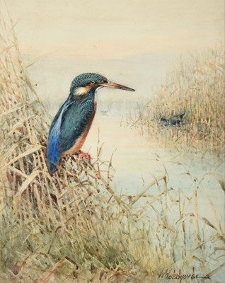 Lot 1028 - William Woodhouse (1857-1939) Kingfisher at...