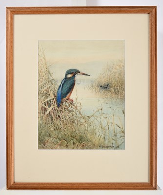 Lot 1028 - William Woodhouse (1857-1939) Kingfisher at...