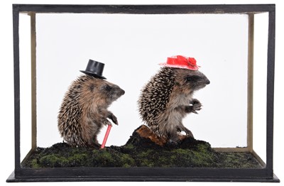 Lot 102 - Taxidermy: A Cased Anthropomorphic Diorama of...