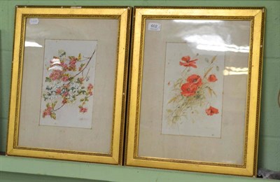 Lot 602 - Pair of floral watercolours by Yeend King