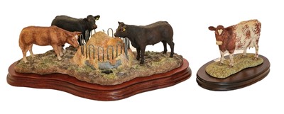 Lot 112 - Border Fine Arts 'Winter Rations' - First Version (Three Quarter Limousin Cross Steers)