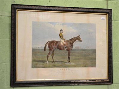 Lot 640 - A framed coloured engraving of a racehorse with jockey up, entitled ";Thorn";, signed Hester