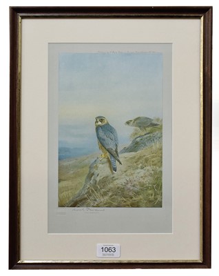 Lot 1063 - After Archibald Thorburn FZS (1860-1935)...