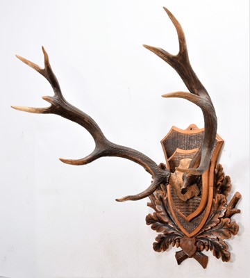 Lot 67 - Antlers/Horns: A Large Set of European Red...