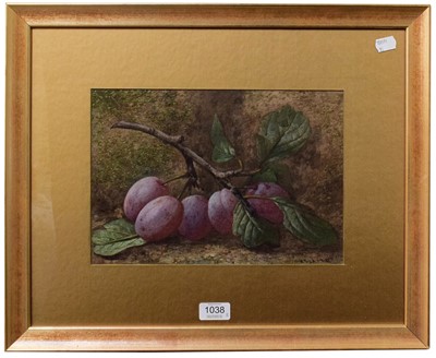 Lot 1038 - C H Slater (19th/20th century), Still life of...