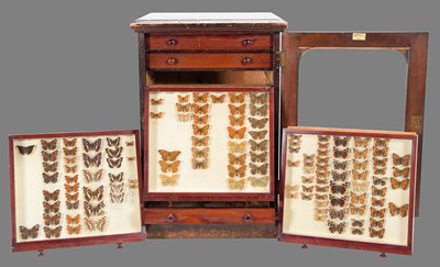 Lot 309 - Entomology: A Cased Collection of British...