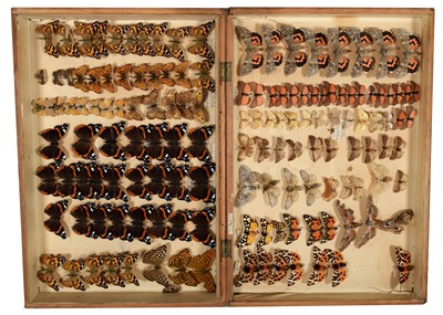 Lot 201 - Entomology: A Collection of Various British...