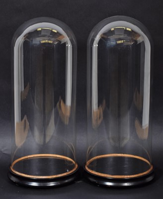 Lot 227 - Glass Dome: A Pair of Late 19th Century...