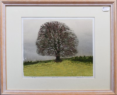 Lot 1093 - Judy Macklin (20th century) "Beech", signed...