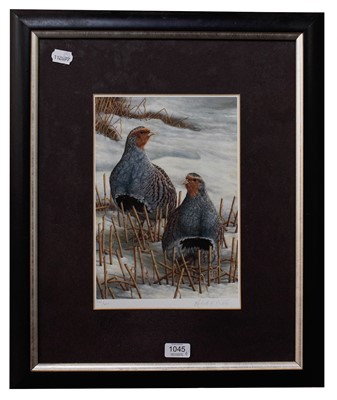 Lot 1045 - B*Ameill 
Swimming Ducks, signed and dated...