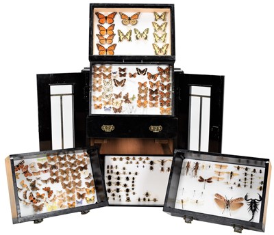 Lot 197 - Entomology: A Collection of British, European...