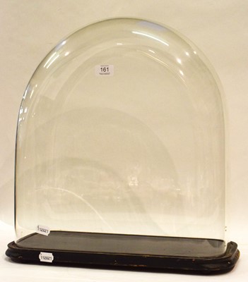 Lot 161 - A glass dome, raised on an ebonised wooden box,...