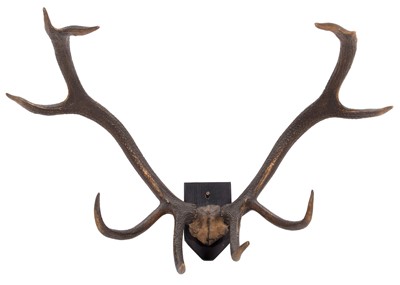 Lot 58 - Antlers/Horns: Hangul or Kashmir Deer (Cervus...