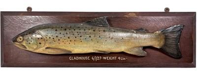 Lot 228 - Taxidermy: A Cast Brown Trout (Salmo trutta),...